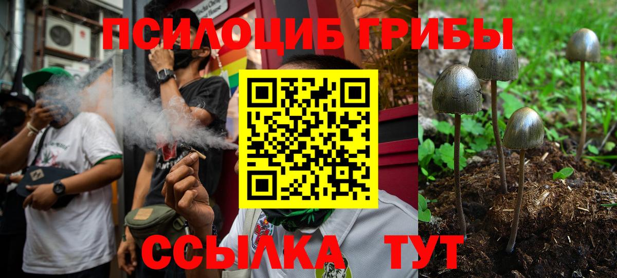 Галлюциногенные грибы Psilocybe  Вход с VPN  Кушва 